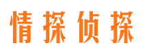 东宁侦探公司